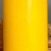 DAFFODIL